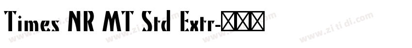 Times NR MT Std Extr字体转换